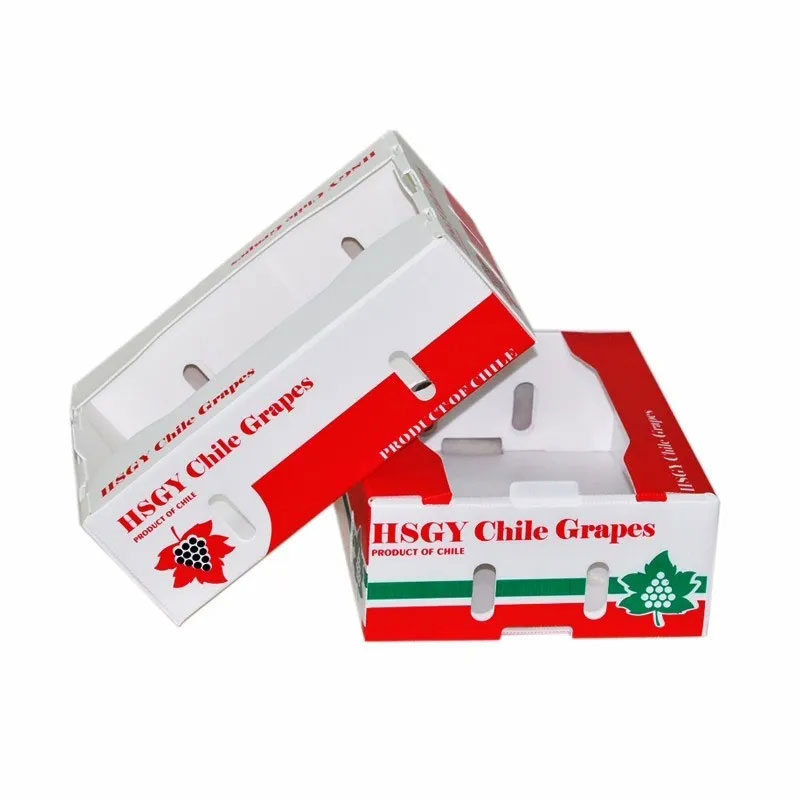 普通紙箱容易破損？泡沫箱太占空間？怎么解決果蔬海鮮物流運輸問題